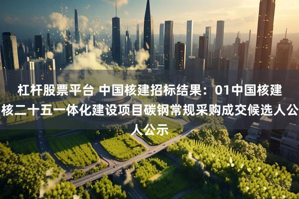 杠杆股票平台 中国核建招标结果：01中国核建中核二十五一体化建设项目碳钢常规采购成交候选人公示