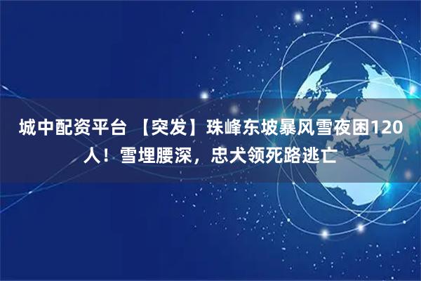 城中配资平台 【突发】珠峰东坡暴风雪夜困120人！雪埋腰深，忠犬领死路逃亡