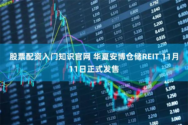 股票配资入门知识官网 华夏安博仓储REIT 11月11日正式发售