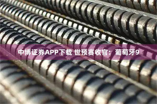 中博证券APP下载 世预赛收官：葡萄牙9