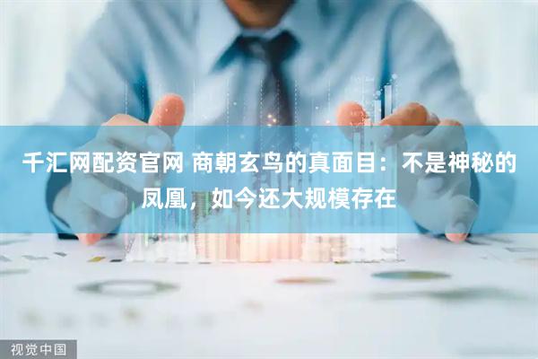 千汇网配资官网 商朝玄鸟的真面目：不是神秘的凤凰，如今还大规模存在
