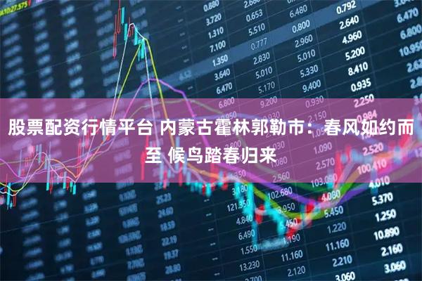 股票配资行情平台 内蒙古霍林郭勒市：春风如约而至 候鸟踏春归来