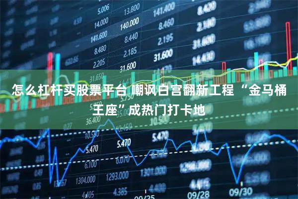 怎么杠杆买股票平台 嘲讽白宫翻新工程 “金马桶王座”成热门打卡地