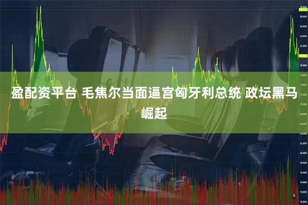 盈配资平台 毛焦尔当面逼宫匈牙利总统 政坛黑马崛起